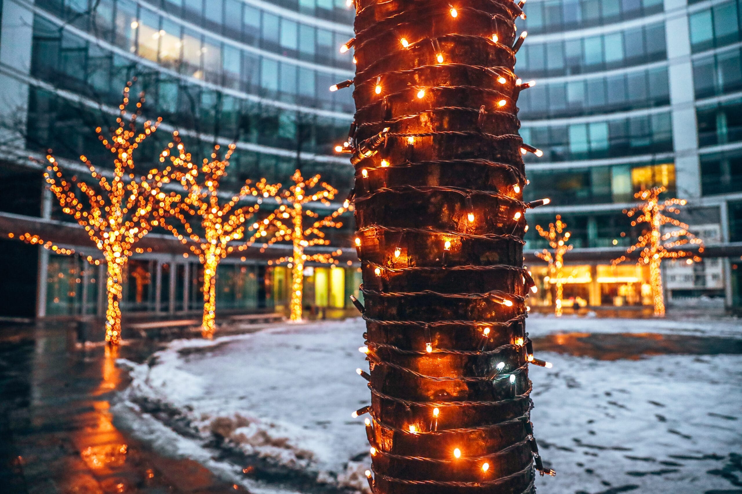 Iluminacja świąteczna w Metropolitan w Warszawie