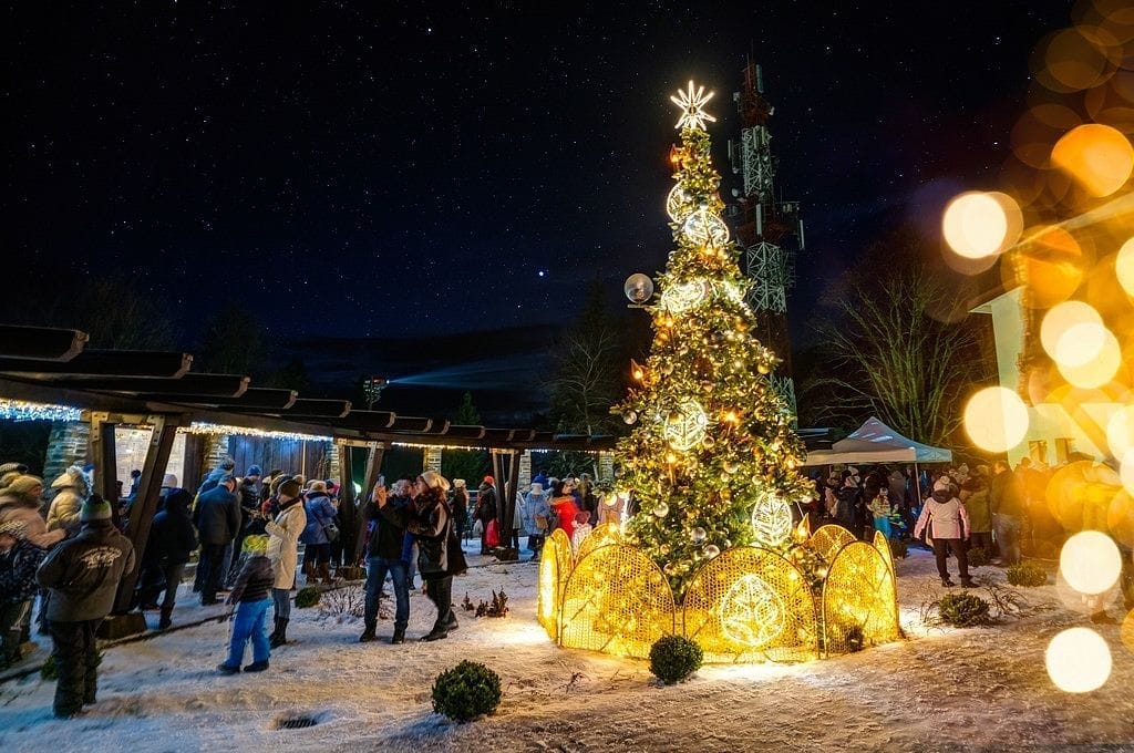 Park światła w PKL Góra Parkowa w Krynicy-Zdrój