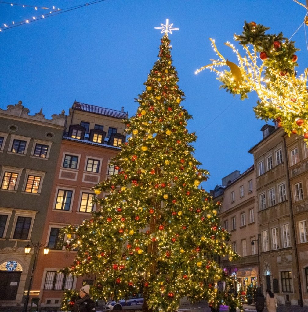 Choinka - efektowna, świąteczna realizacja